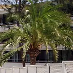 Apartment Jacarandas