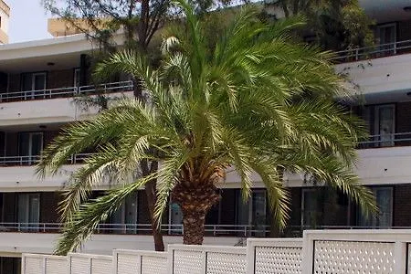 Appartement Jacarandas